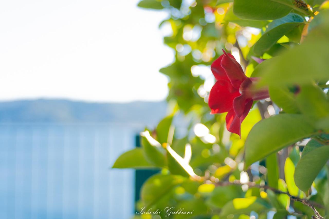 B&B Isola Dei Gabbiani Bergeggi Εξωτερικό φωτογραφία